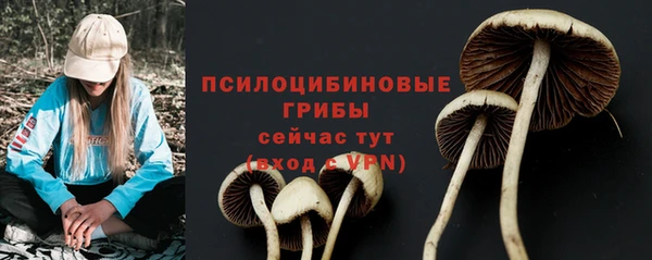крисы Новозыбков