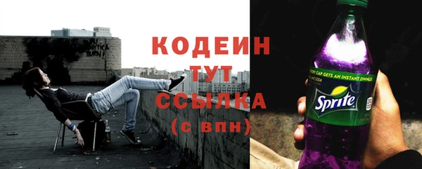 крисы Новозыбков