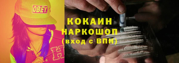амф Няндома