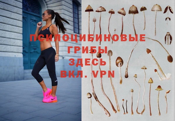 крисы Новозыбков