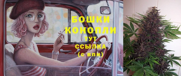 крисы Новозыбков