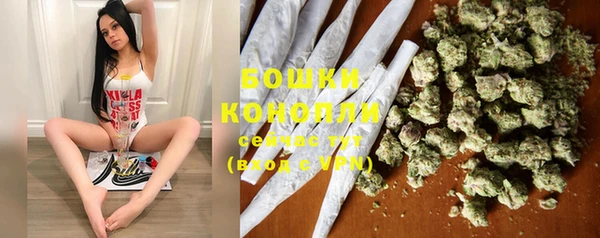 крисы Новозыбков