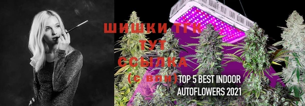 дурь Новокубанск