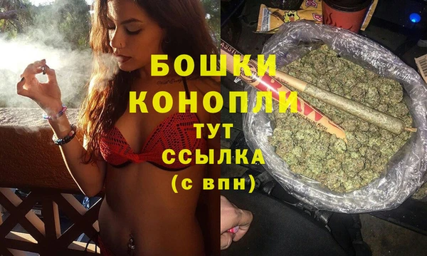 крисы Новозыбков
