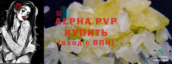 крисы Новозыбков