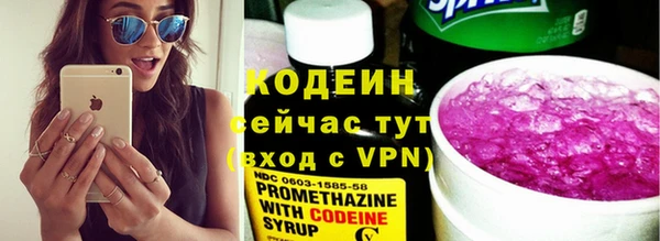 крисы Новозыбков