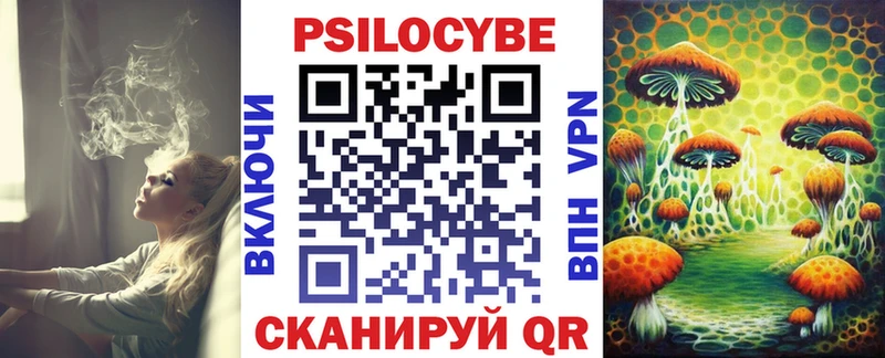 купить наркотики сайты  Лодейное Поле  Галлюциногенные грибы Psilocybine cubensis 